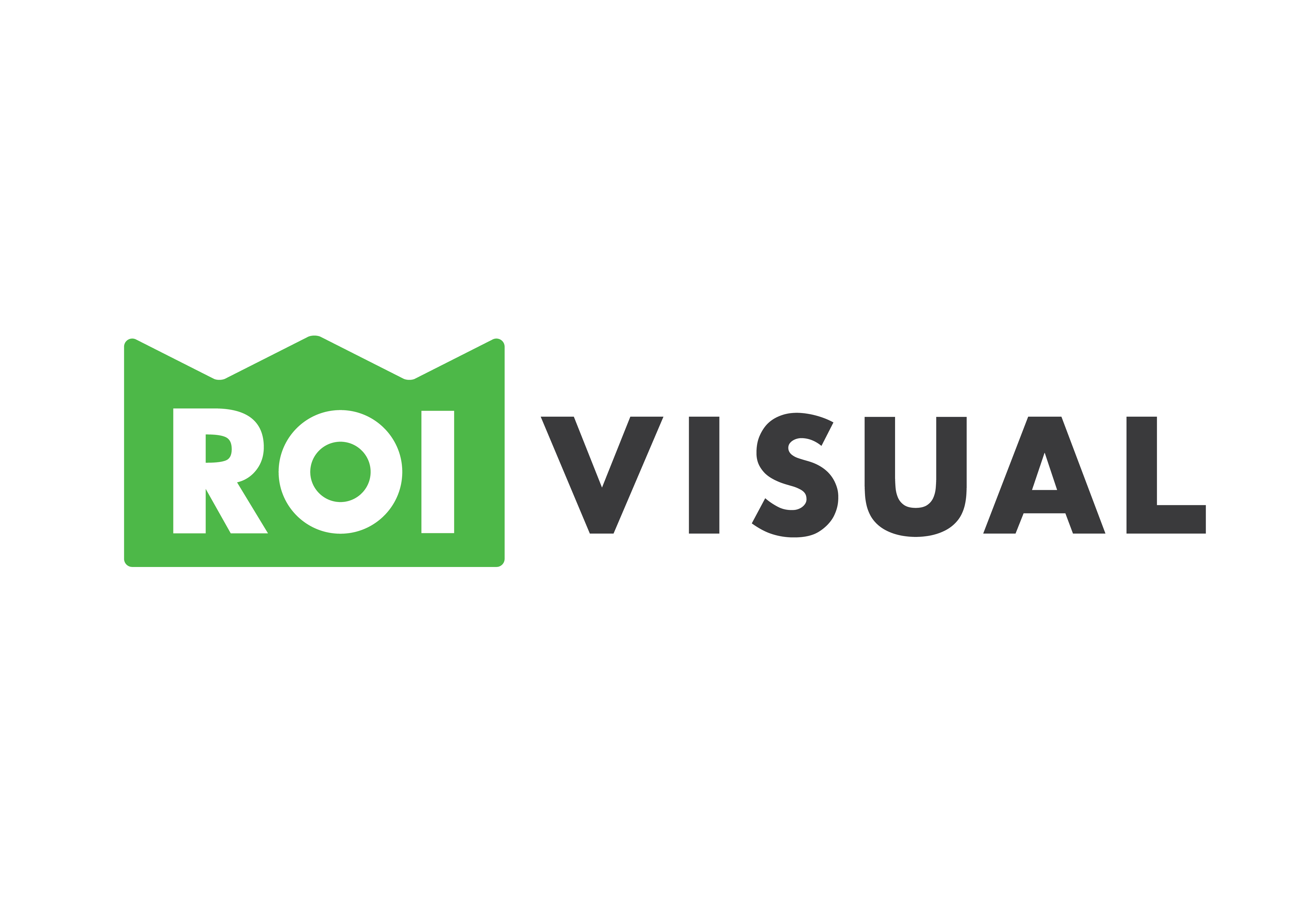 ROI VISUAL 기업 로고