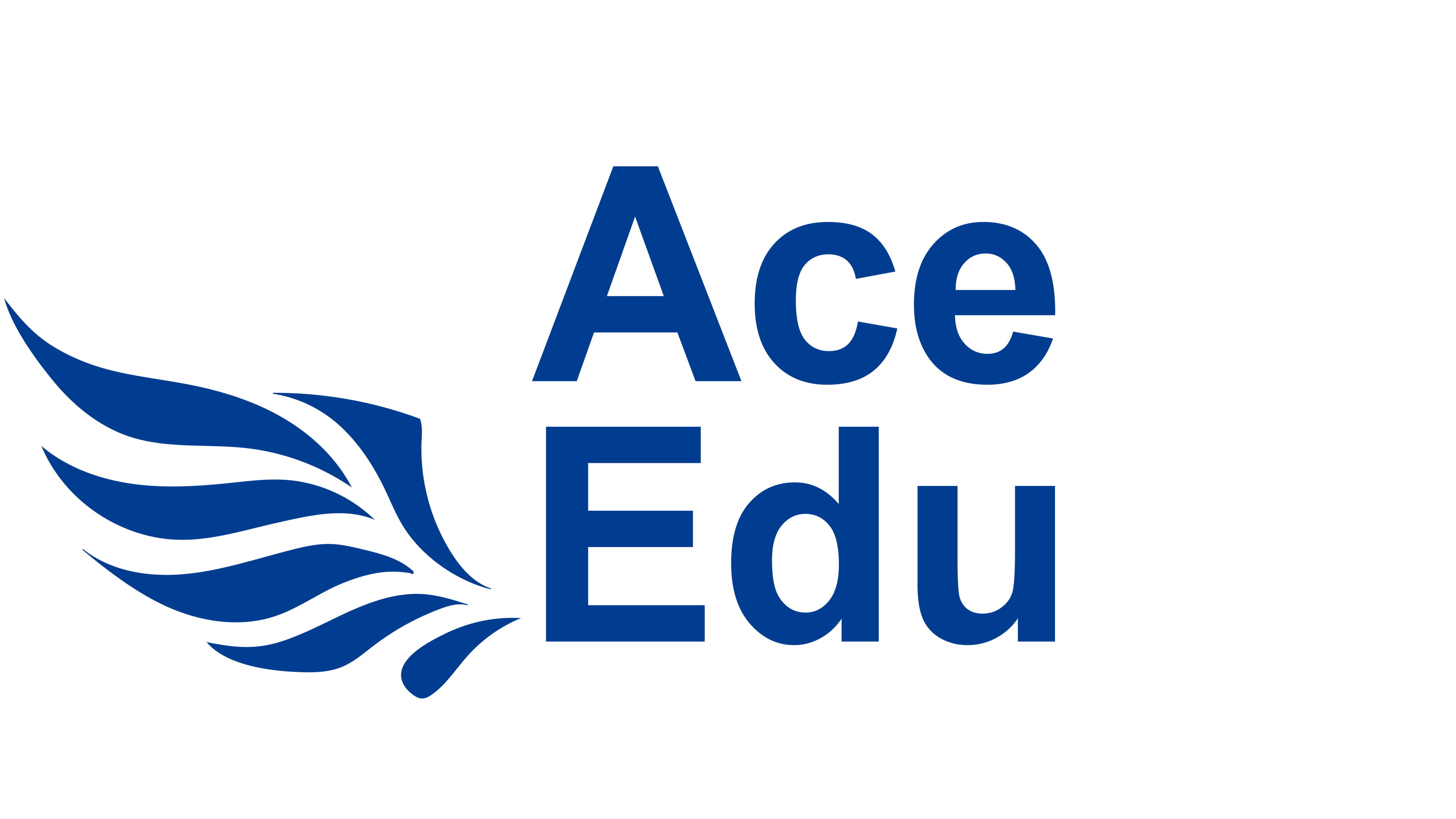 ACE EDU CO.LTE. 기업 로고