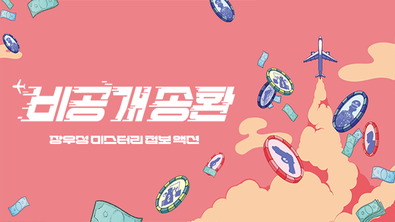 Hidden Repatriation IP 이미지 1