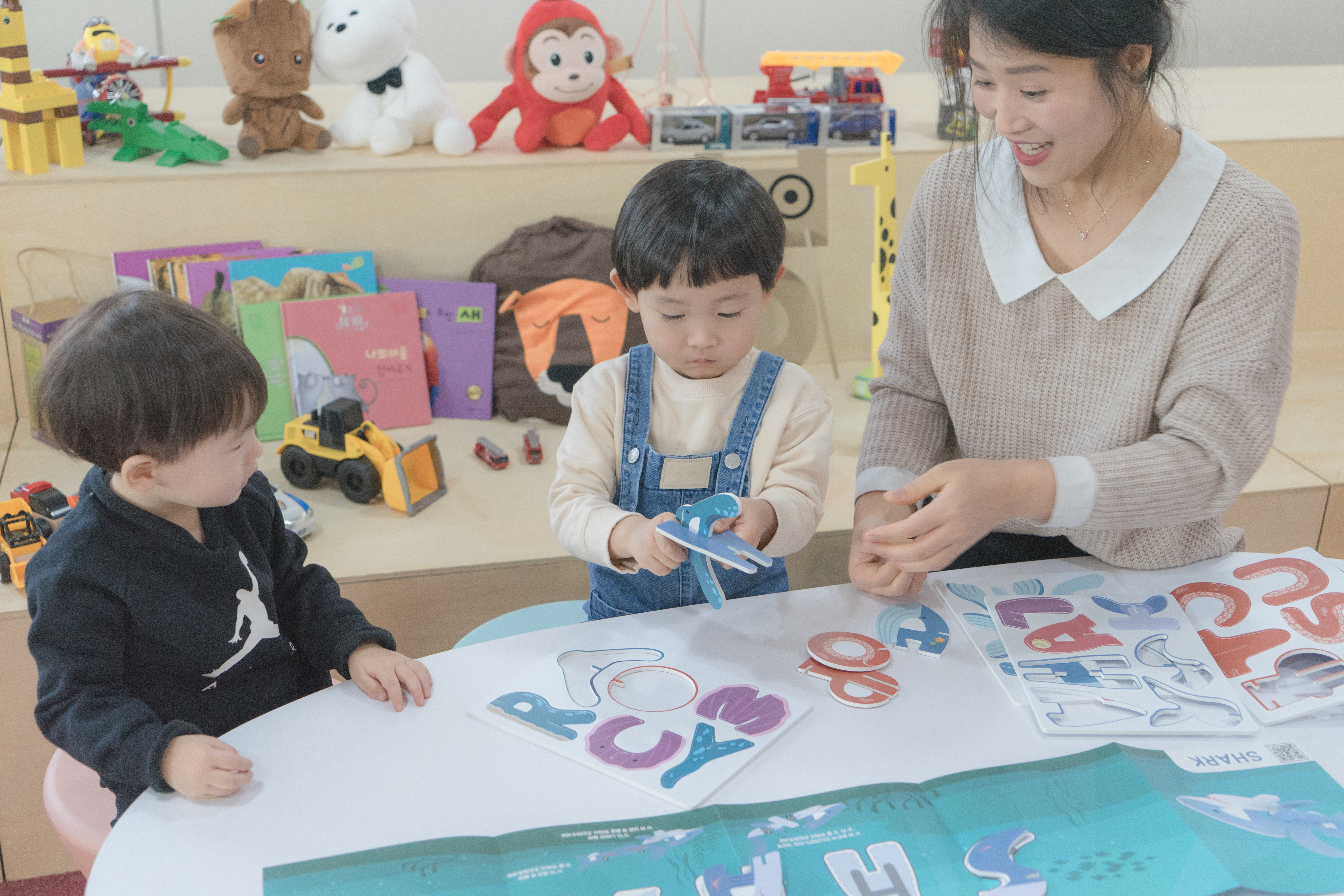 펀트 IP 이미지 4