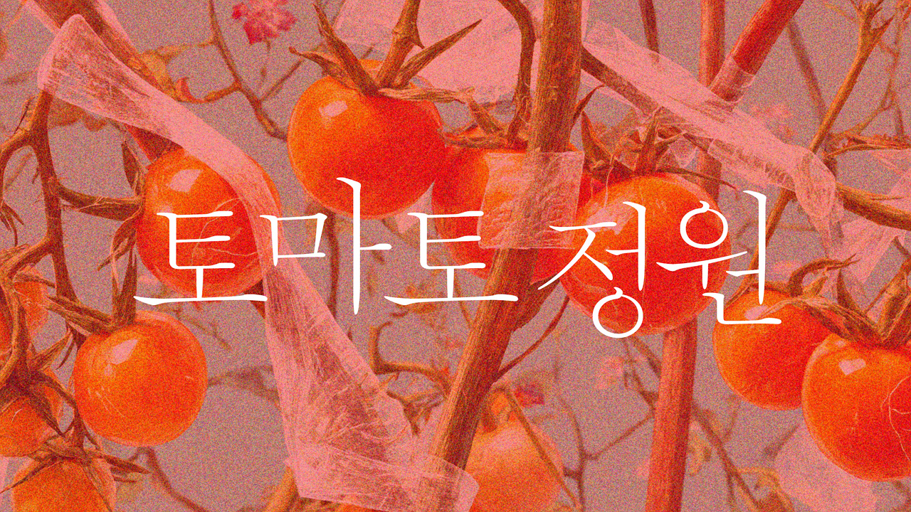 토마토 정원 IP 이미지 1