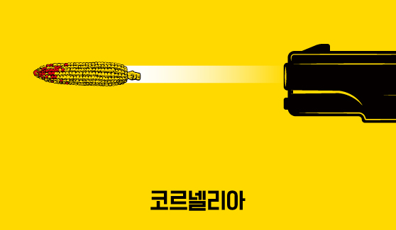 코르넬리아 IP 이미지 1