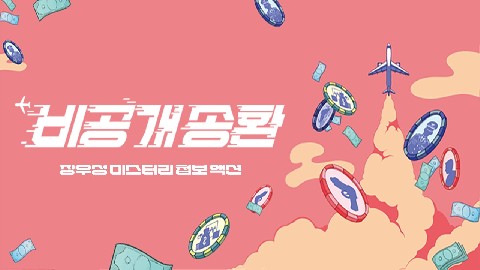 Hidden Repatriation IP 이미지