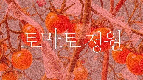토마토 정원 IP 이미지